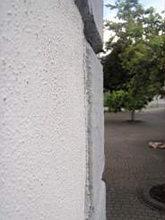 christchurch - 4270.jpg
